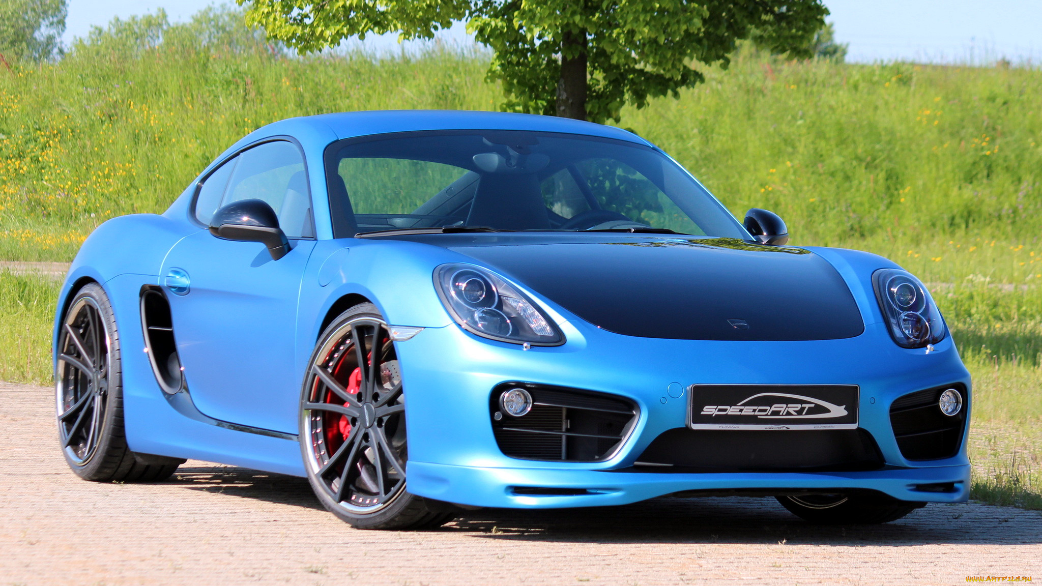 porsche, cayman, , , , 